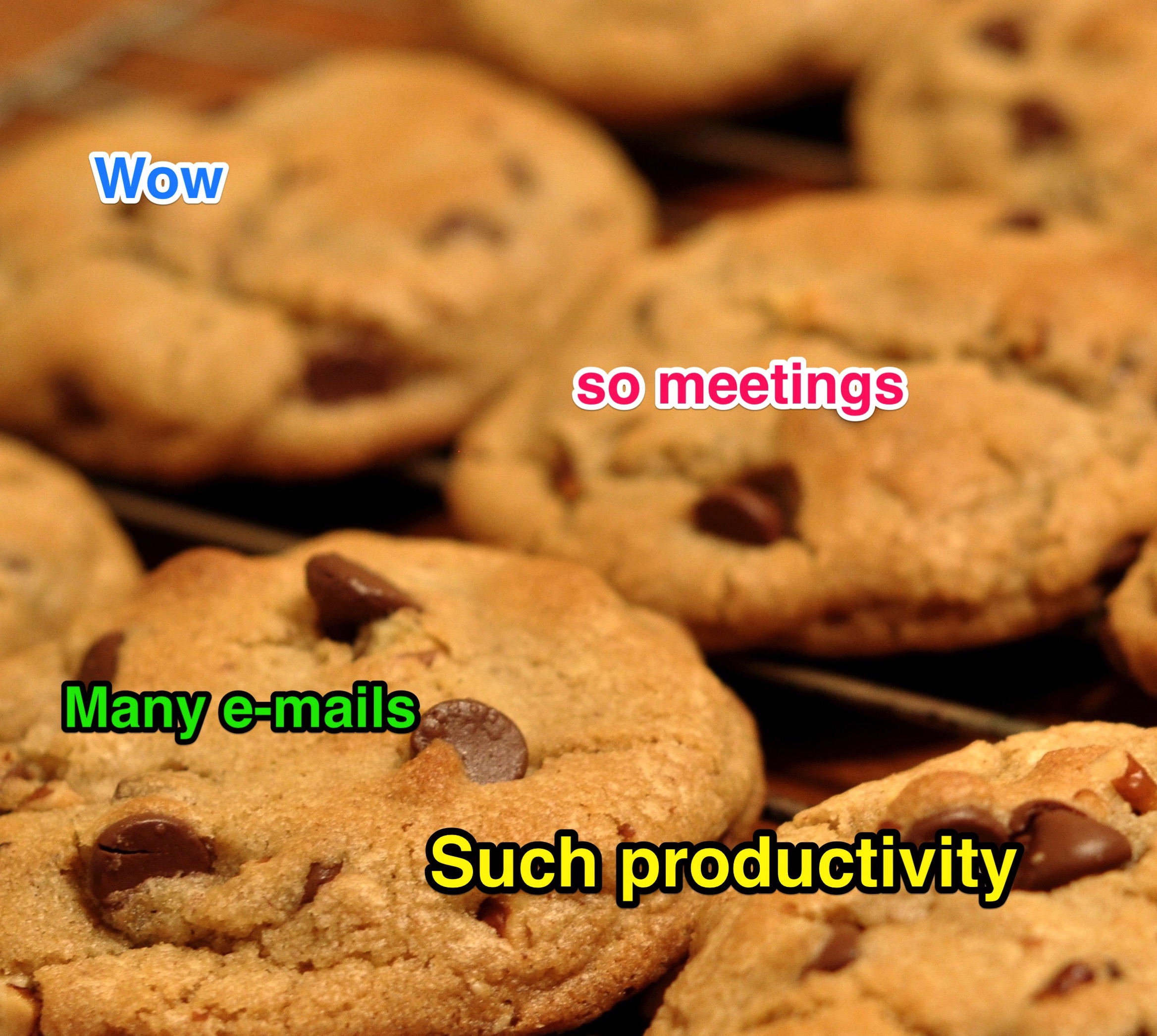 productivity-cookies.jpg